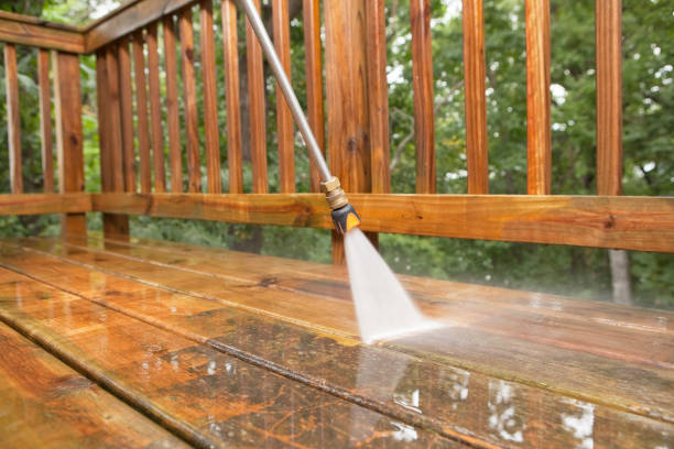 Professional Pressure washing in Linden, MI